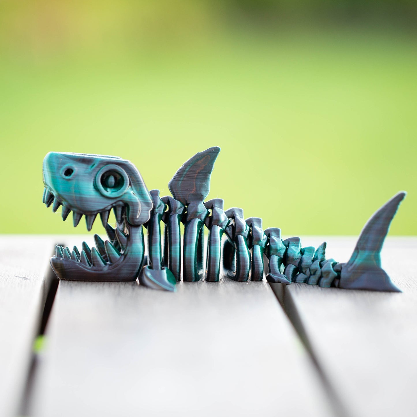 Articulated Skeleton Shark
