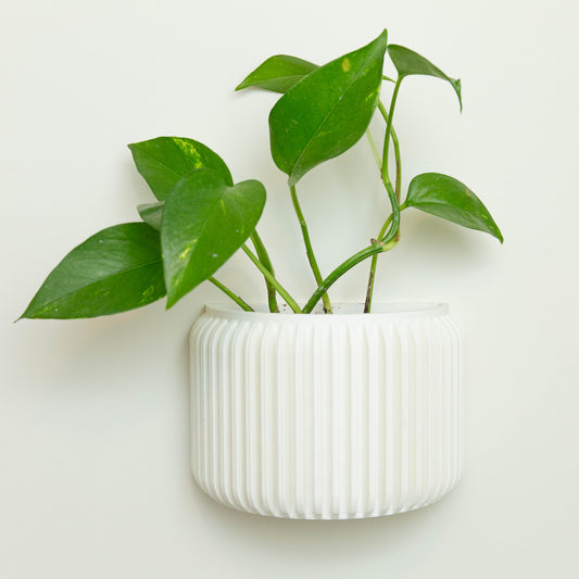 Wall Planter