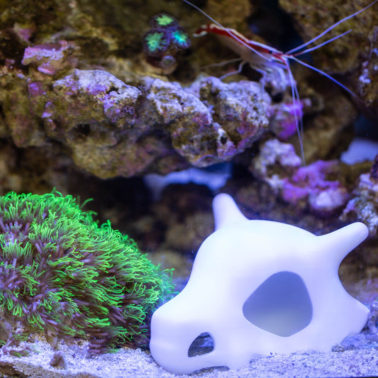 Cubone Pokémon Skull for Aquariums - Fish Hideout - Aquarium Decor