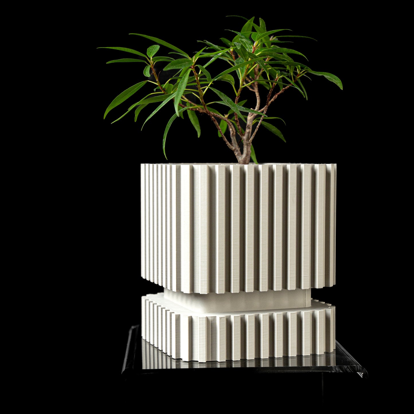 Square Planter Pot Stripes - Modern Indoor Planter - Drainage and Drip Tray