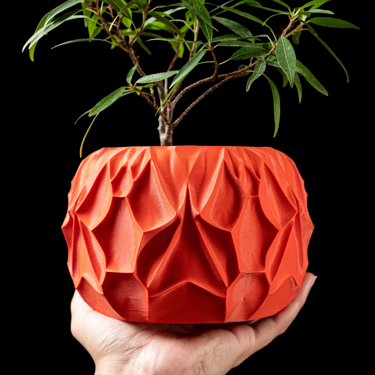 Futuristic Planter Pot Vessel with Drainage and Drip Tray