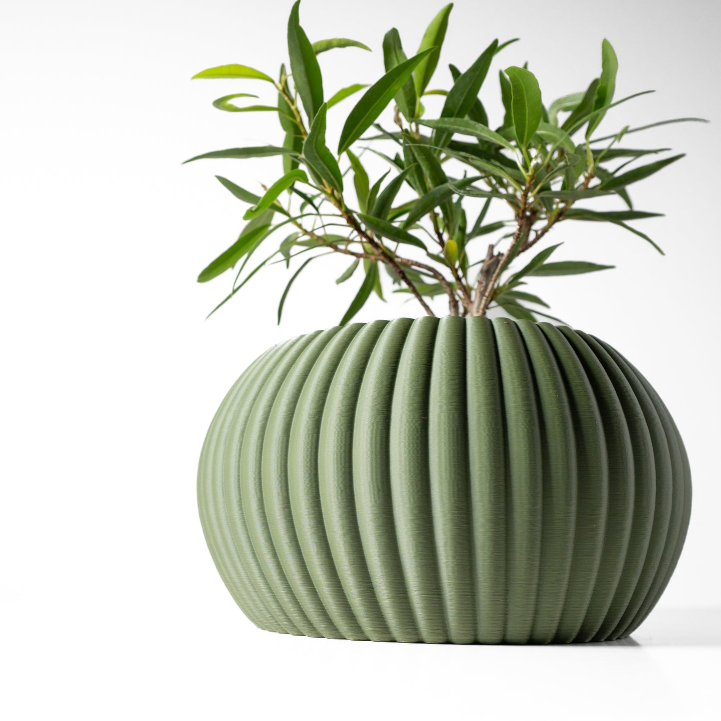 Eco-Friendly Planter - Decorative Plant Pot - Perfect for Small Houseplants - Drainage - Drip Tray