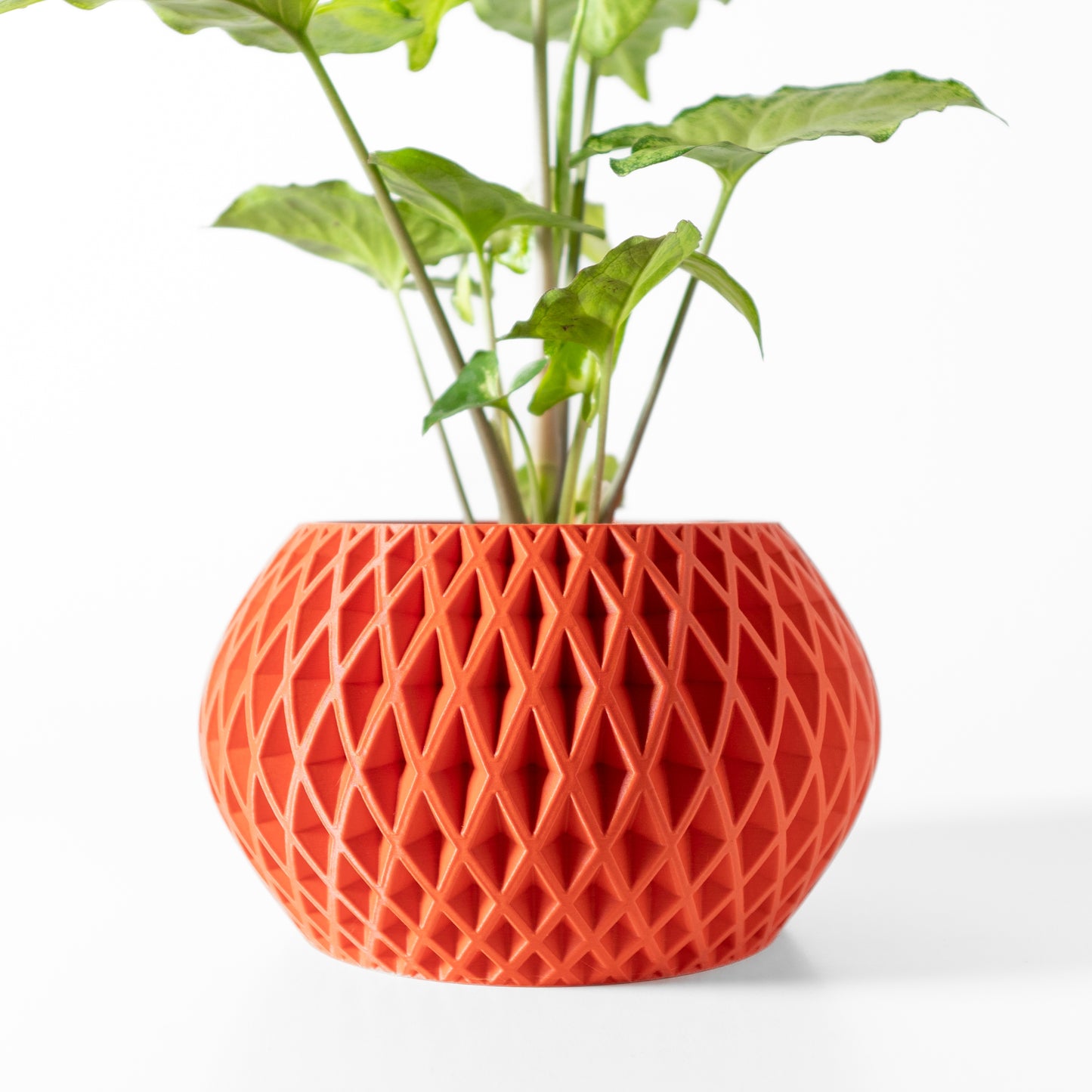 Modern Textured Planter - Gisar 3D-Printed Indoor Pot - Succulent and Cactus Planter with Drain Tray