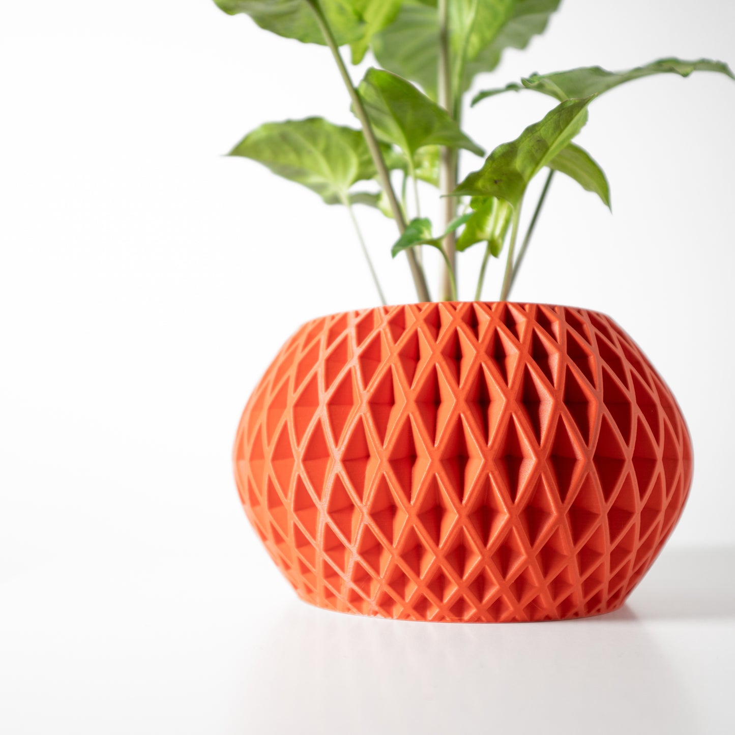 Modern Textured Planter - Gisar 3D-Printed Indoor Pot - Succulent and Cactus Planter with Drain Tray