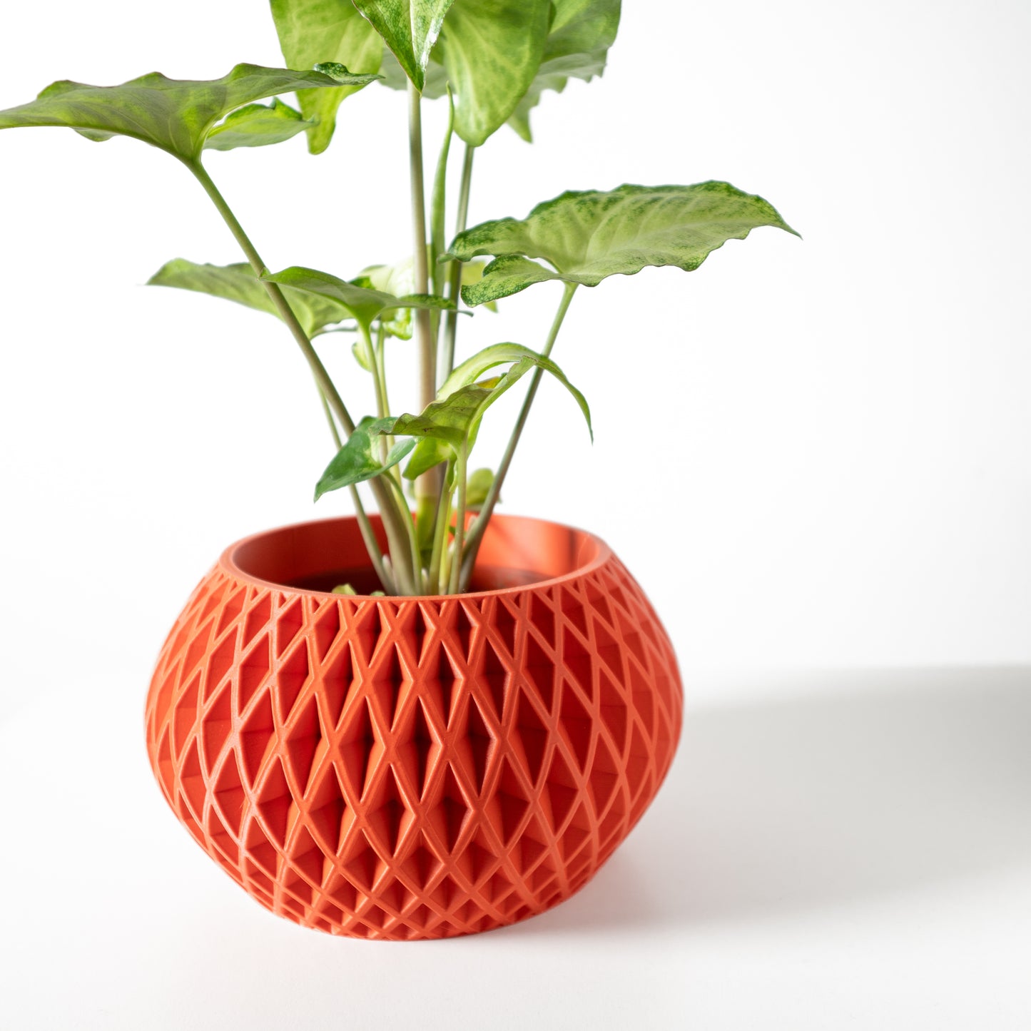 Modern Textured Planter - Gisar 3D-Printed Indoor Pot - Succulent and Cactus Planter with Drain Tray