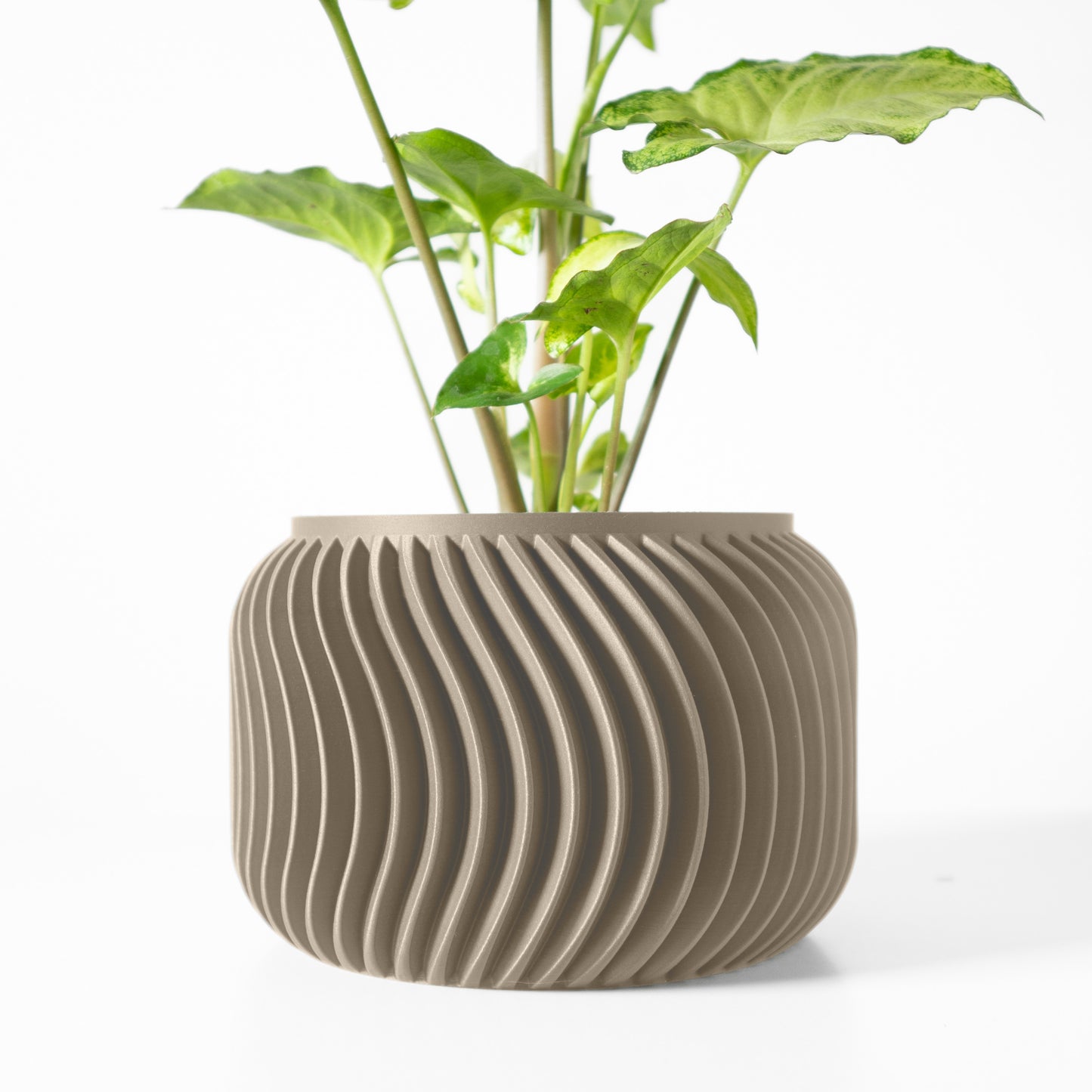 Exquisite Planter - Modern Sleek Design - Vilex Planter Pot with Drainage - Drip Tray