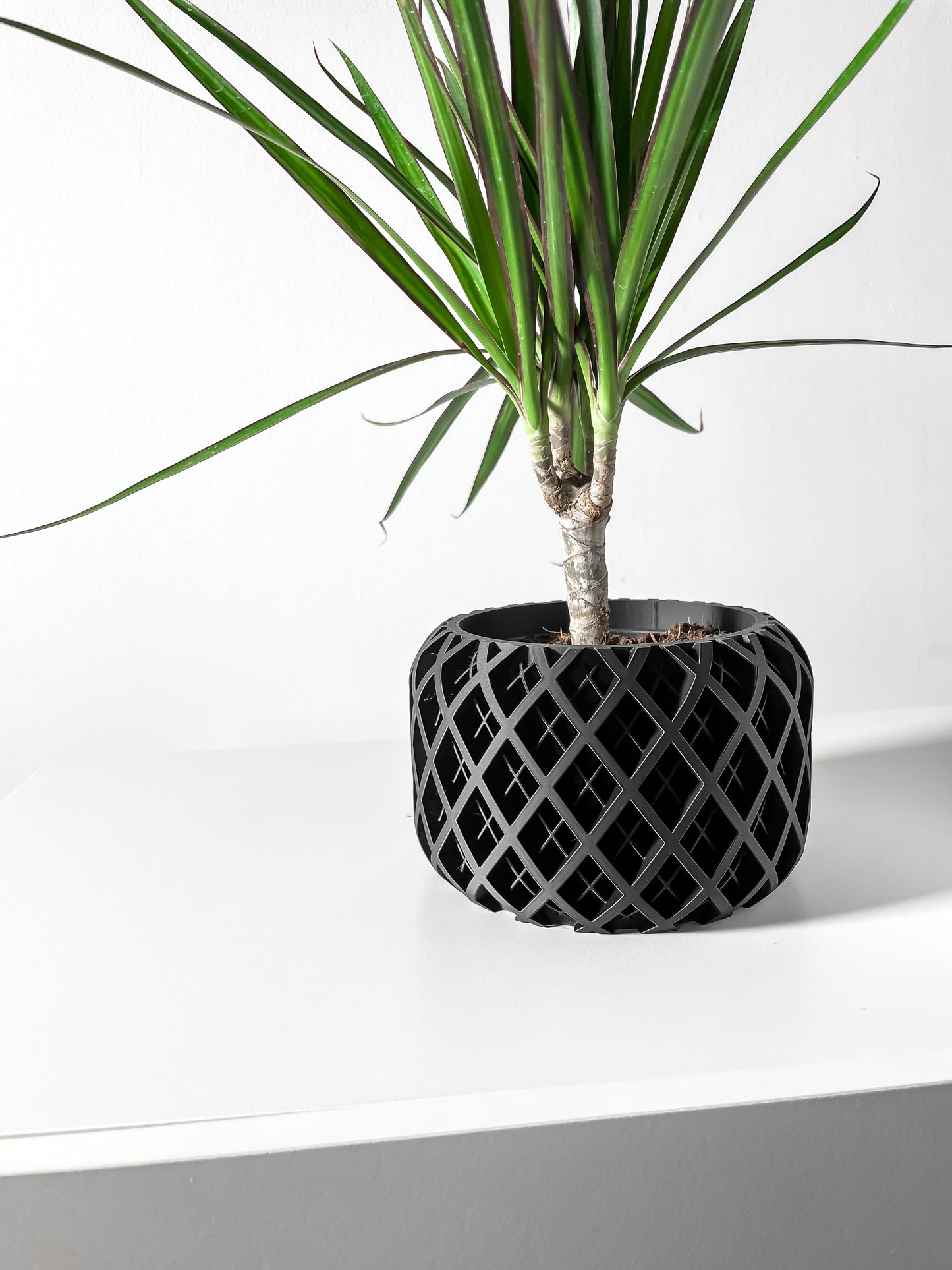 Indoor Planter Pot Torio with Drainage and Drip Tray