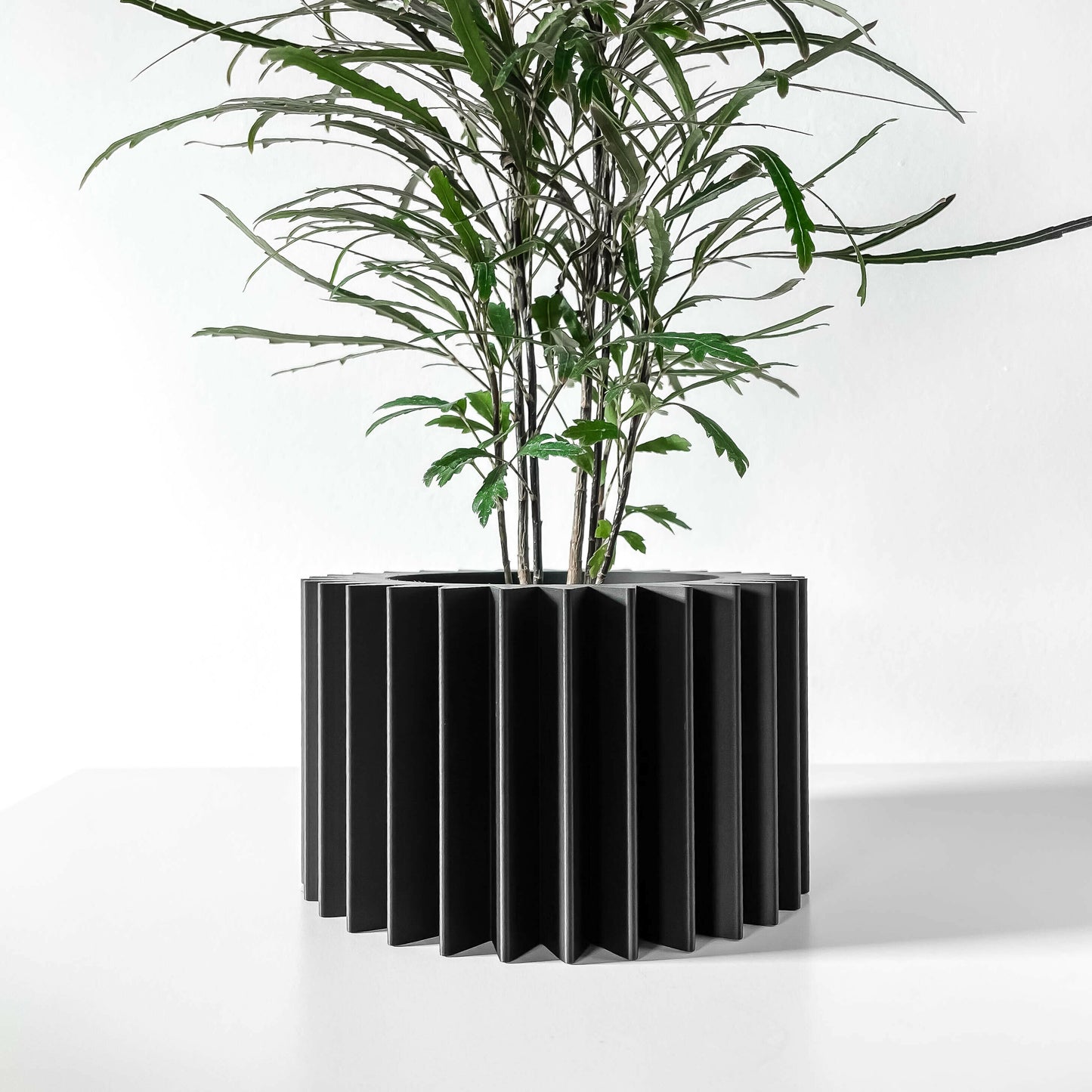 Indoor Planter Pot Tuno with Drainage and Drip Tray